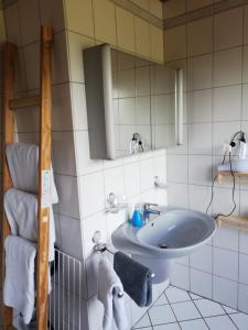 een badkamer met een wastafel en een spiegel bij Bertha´s Home in Herne