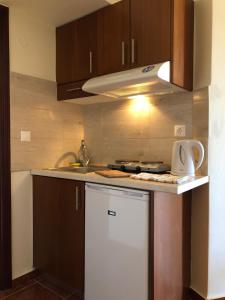 A kitchen or kitchenette at Iolkos Hotel Apartments