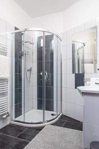 a glass shower in a bathroom with a sink at Penzion Maxwilliam in Znojmo