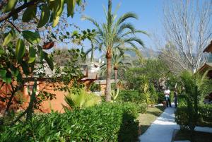 Zahrada ubytování Soller Garden