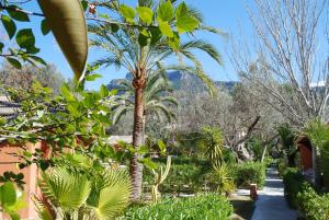Zahrada ubytování Soller Garden
