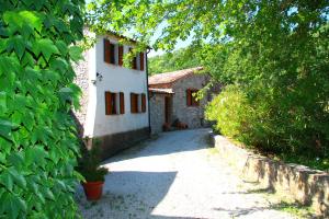 un callejón que conduce a una casa con una pared cubierta de hiedra en Borgo Fango, en Montieri
