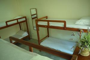 Cette chambre comprend trois lits superposés et une plante en pot. dans l'établissement Marick Beach Resort, à Carmen