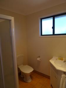 a bathroom with a toilet and a sink and a window at Redgate Country Cottages in Moffatdale