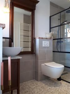 a bathroom with a sink and a toilet at Het Gindrahuis in Bladel