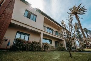 a building with a palm tree in front of it at Volcanic Charming House in Ribeira Grande
