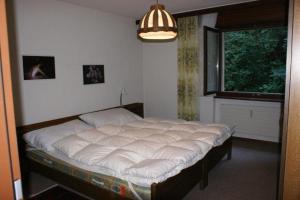 Giường trong phòng chung tại Lärchenwald 1706