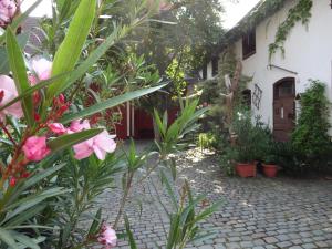 a garden with pink flowers in front of a house at Pension Deerkemer Kuh in Dorn-Dürkheim