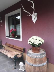 a room with a bench and a pot of flowers at Haus Gsenger in Abtenau