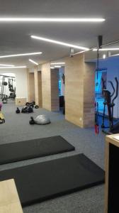 a room with a gym with exercise equipment in it at Apartments U Zelmanu in Pasohlávky