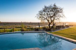 Swimmingpoolen hos eller tæt på Buckler's Africa Lodge Kruger Park