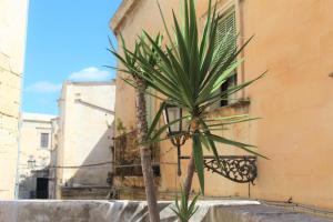 Fotografie z fotogalerie ubytování Dimora Vico dei Nohi v destinaci Lecce