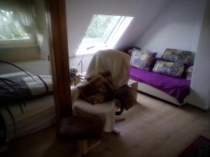 ゲルスフェルトにあるPension Panoramaの椅子とベッド、窓が備わる客室です。