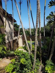 a group of palm trees in front of a house at Salt Life in Port Shepstone