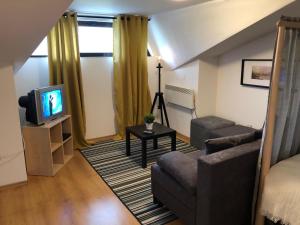 TV a/nebo společenská místnost v ubytování Stylish Studio Apart Aspen Golf Resort