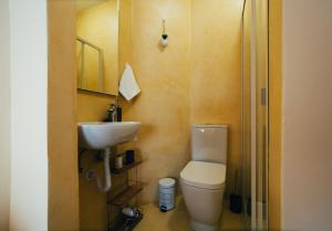 a small bathroom with a toilet and a sink at Pedras Salgadas Apartment in Pedras Salgadas +21 photos