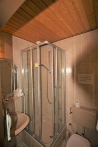 y baño con ducha, aseo y lavamanos. en Landgasthaus Rothbrust, en Burgbrohl
