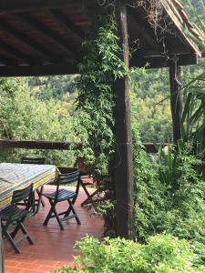 een tafel en stoelen op een patio met een tafel en wijnranken bij Casa dei Templari in Finale Ligure