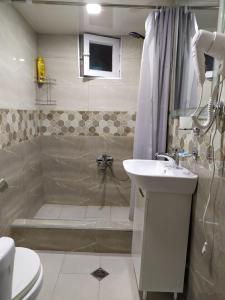 La salle de bains est pourvue de toilettes, d'un lavabo et d'une douche. dans l'établissement Apartment LINIMA, à Tbilissi