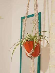 a plant in a pot hanging from a rope at Studio 7 - Hospital Italiano in Buenos Aires