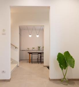 a dining room and kitchen with a table and a plant at Hotel Canton dell'Orto in Padova