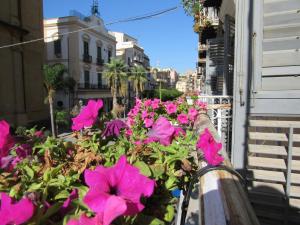 a bunch of pink flowers in a window box at amurimè in Porto Empedocle