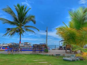 un grupo de sillas y palmeras junto al océano en Posada Donde Pilo Avila, en San Andrés