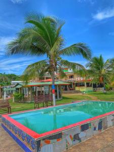 a palm tree and a swimming pool in front of a house at Posada Donde Pilo Avila in San Andrés