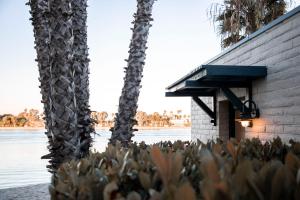 a group of palm trees next to a building at Paradise Point Resort & Spa in San Diego