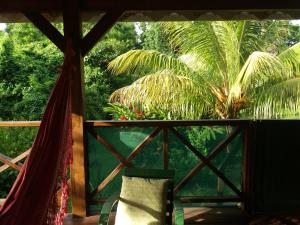 a screened in porch with a hammock and a palm tree at Gîte 1001 Nuits - SHERAZADE in Bouillante