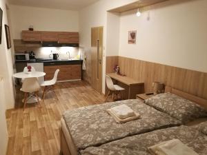 Kuchyň nebo kuchyňský kout v ubytování Apartmán BON