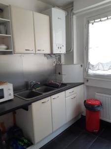 Kuchyň nebo kuchyňský kout v ubytování Charmant appartement au pied du château