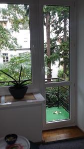 une fenêtre avec vue sur une cour verdoyante dans l'établissement Animrumru, à Varsovie