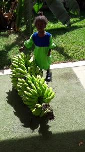 a child is standing next to a bunch of bananas at Residence 21 in Kololi +2 photos
