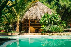 a tropical beach with palm trees and palm trees at Kimbas Bungalows Mancora in Máncora
