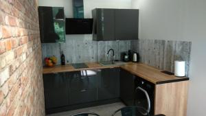 Kuchnia lub aneks kuchenny w obiekcie Apartament 5 przy Parku Leśnym