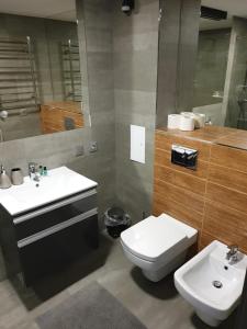 łazienka z umywalką, toaletą i lustrem w obiekcie Apartament 5 przy Parku Leśnym w Polanicy Zdroju