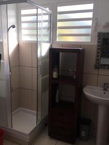 a bathroom with a shower and a sink at Villa les Palmiers in Les Trois-Îlets