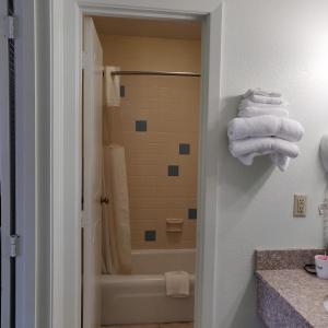 a bathroom with a shower and white towels at Travel Inn in Delaware