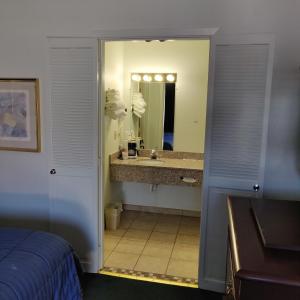 a bathroom with a sink and a mirror at Travel Inn in Delaware