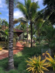 Foto da galeria de CanoaOasis em Canoa