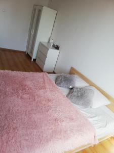 チェンストホヴァにあるPokoje przy Rondzieのベッドルーム1室(ピンクの毛布付きのベッド1台付)
