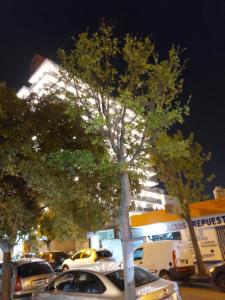un árbol en un estacionamiento frente a un edificio en Edificio Leonardo, 5to piso en Villa Carlos Paz