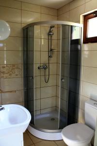 ein Bad mit einer Dusche, einem Waschbecken und einem WC in der Unterkunft Domek Gloria nad Jeziorem Żywieckim in Żywiec