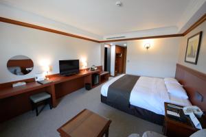 a hotel room with a bed and a television at Commodore Hotel Gyeongju in Gyeongju