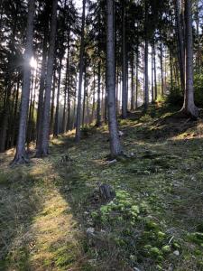 Loodusmaastik puhkemaja lähedal