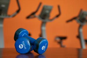 a pair of blue dumbbells sitting on a table at Hotel Spelderholt in Beekbergen