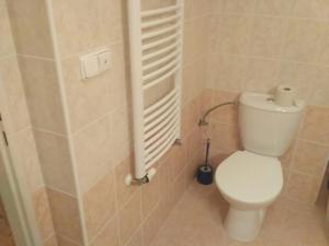 łazienka z białą toaletą i grzejnikiem w obiekcie Apartment Klara w Rokitnicach nad Izerą +24 zdjęcia
