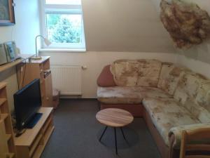 salon z kanapą i telewizorem w obiekcie Apartment Klara w Rokitnicach nad Izerą