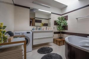 ein Badezimmer mit einem Waschbecken und einer Waschmaschine in der Unterkunft Apartmanica Residence 606 in Donovaly